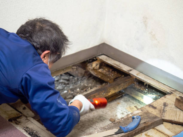 Best Crawl Space Mold Removal  in Mount Oliver, PA