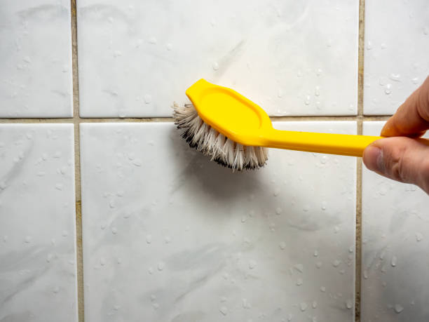 Best Fast Mold Removal  in Mount Oliver, PA