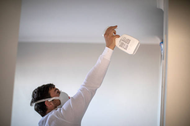 Best Mold Removal Company Near Me  in Mount Oliver, PA