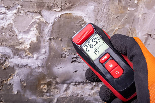 Best Home Mold Removal  in Mount Oliver, PA
