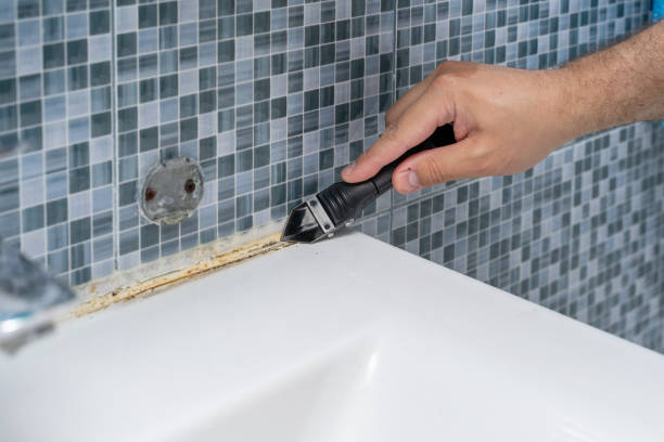 Mold Testing and Removal in Mount Oliver, PA