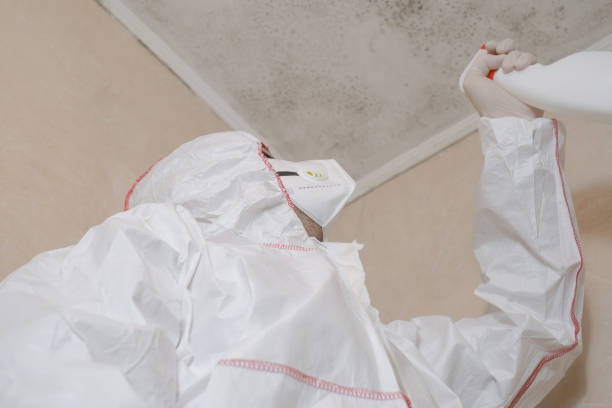 Best Mold Removal Specialists  in Mount Oliver, PA