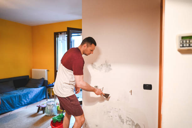 Trusted Mount Oliver, PA Mold Removal Experts