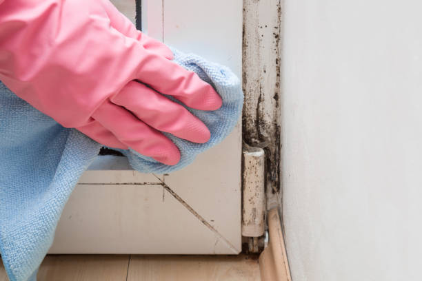 Water Damage Restoration in Mount Oliver, PA